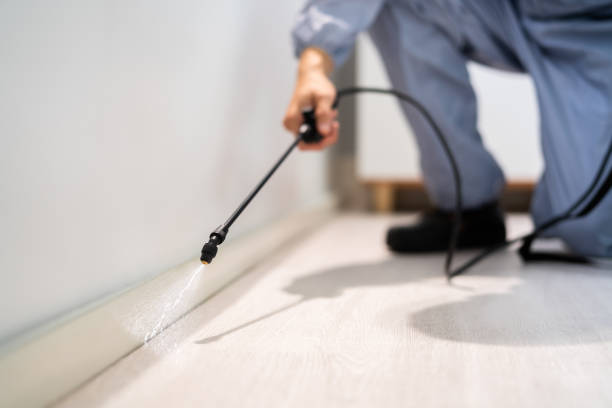 Licensed Mosquito Control service in Abilene, KS - Show Me Pest Control