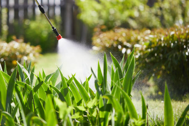 24/7 Emergency Mosquito Control experts in Abilene, KS